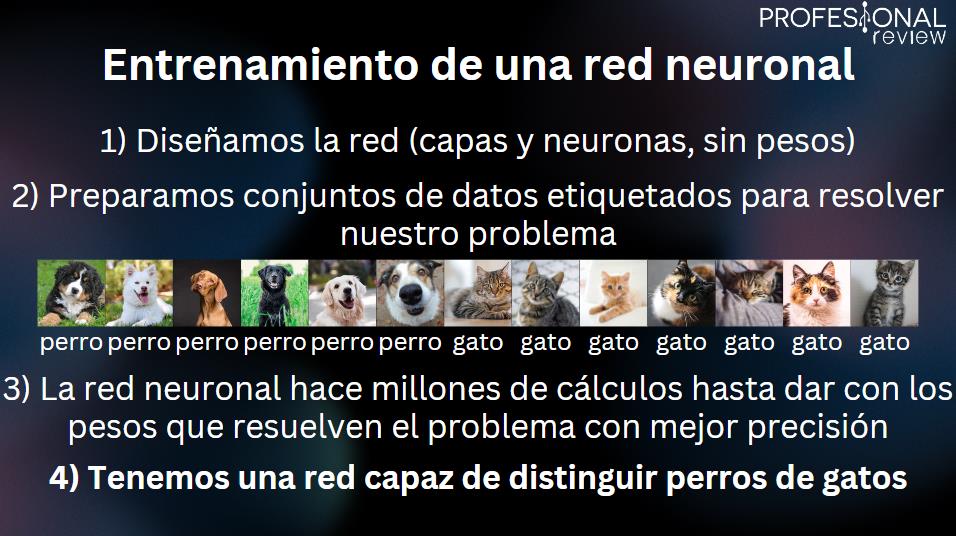 Entrenamiento red neuronal